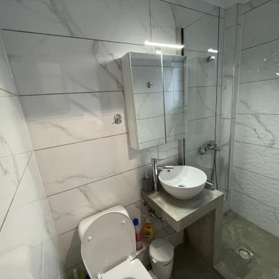 Img 1686